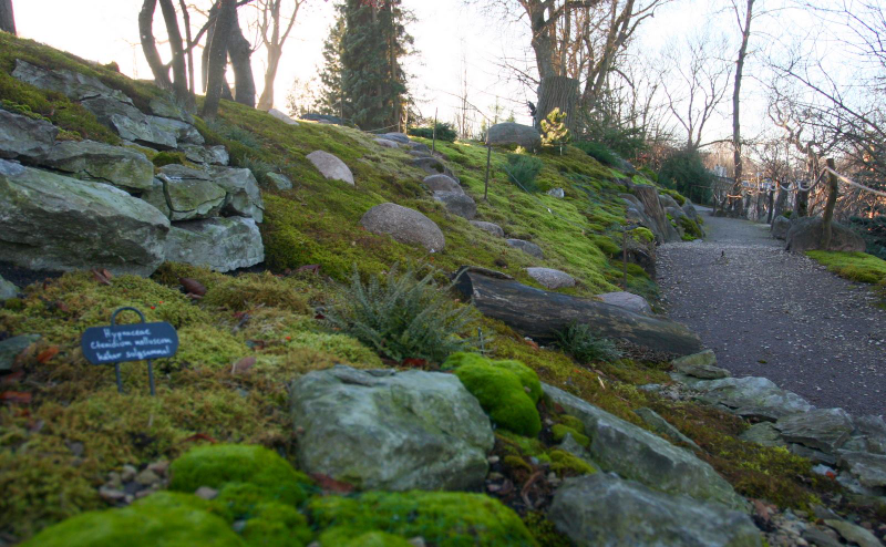 Illustration for article titled MOSS